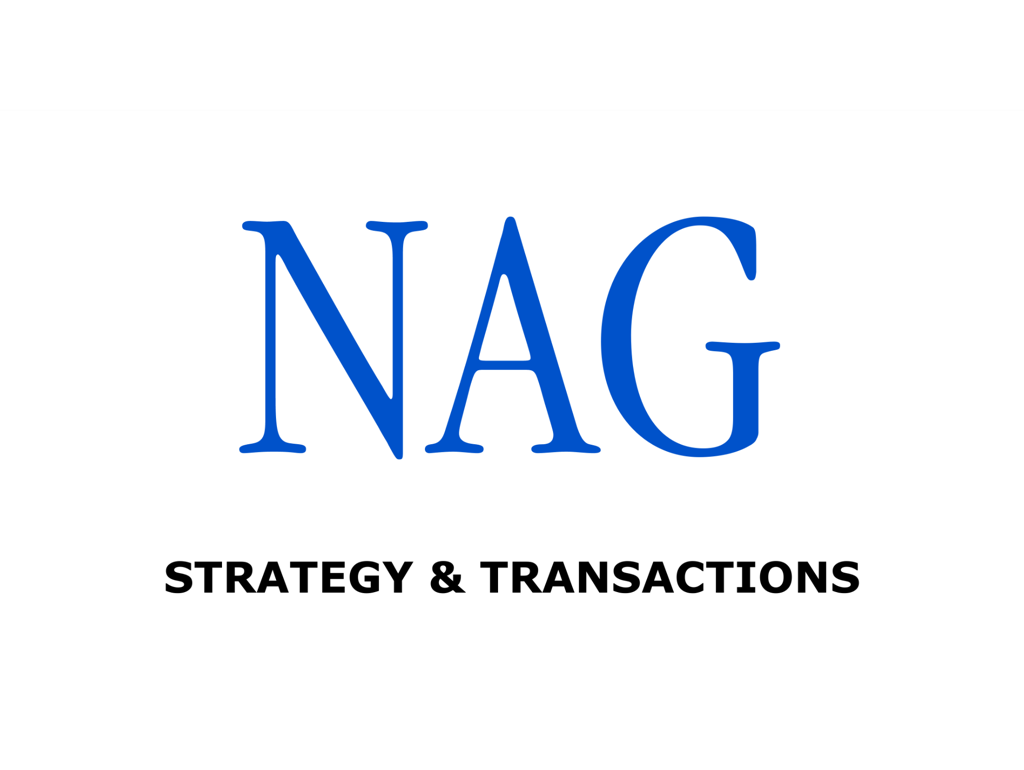 NAG Logo | Helsinki Management Consulting